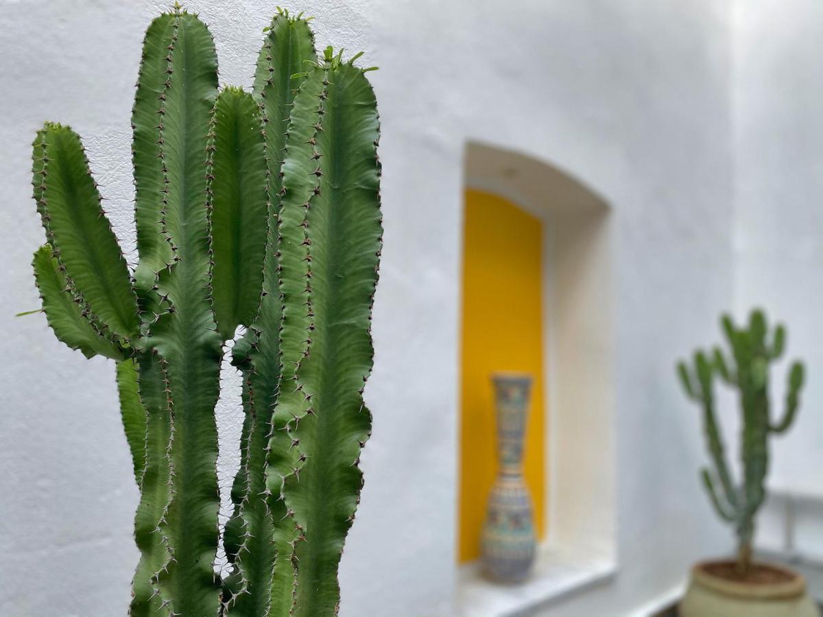 Dar El Kif - La Marsa Bed & Breakfast Luaran gambar
